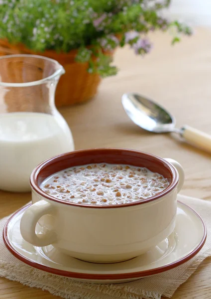Buckwheat porridge with milk — Stock Photo, Image