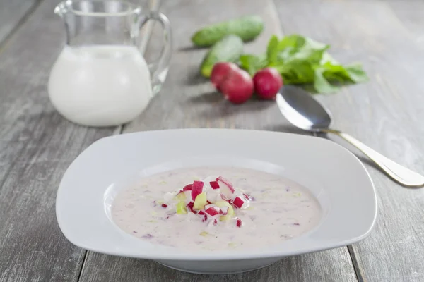 Sopa de leche con rábano y pepino — Foto de Stock