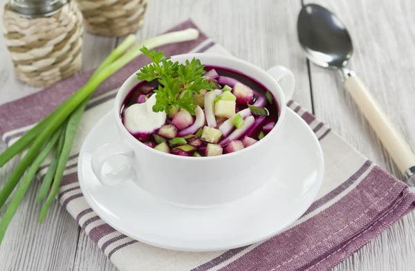 Sopa de remolacha con calamar, pepino y manzana —  Fotos de Stock