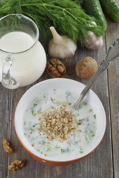 Tarator, sopa de leche agria bulgara —  Fotos de Stock