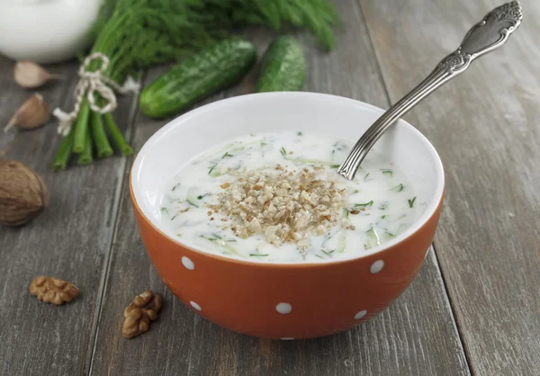 Tarator, bulgarische Sauermilchsuppe — Stockfoto