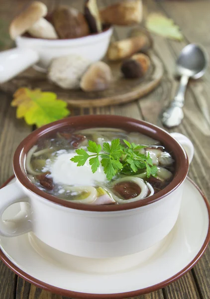 Mushroom soup with sour cream — Stock Photo, Image