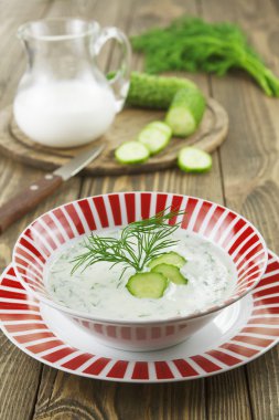 salatalık, yoğurt ve taze otlar ile yaz çorbası