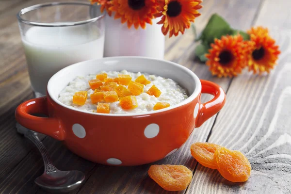 Farina d'avena con albicocche secche — Foto Stock