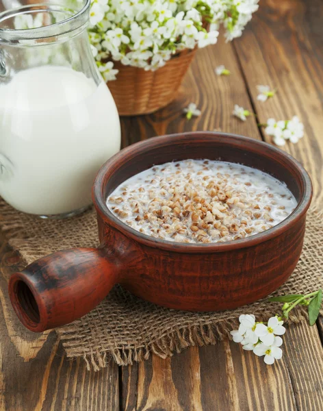Porridge di grano saraceno con latte — Foto Stock