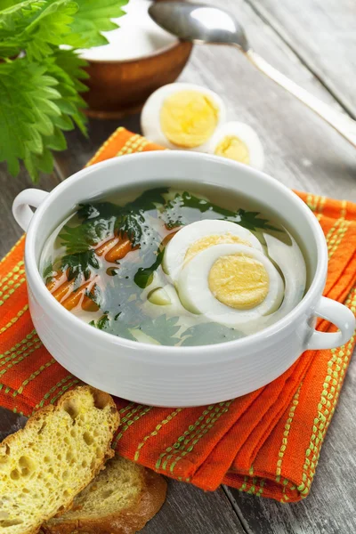 Sopa de ortiga con huevo — Foto de Stock