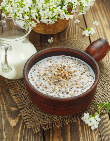 Porridge di grano saraceno con latte — Foto Stock