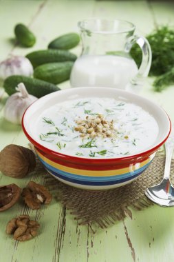 salatalık, yoğurt ve ceviz ile yaz çorbası