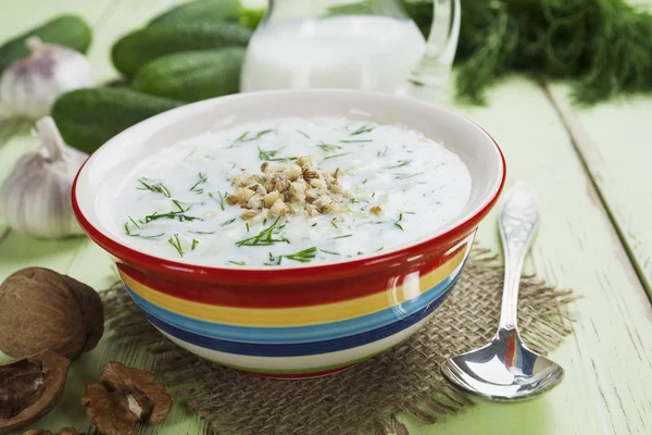 Salatalık, yoğurt ve ceviz ile yaz çorbası — Stok fotoğraf