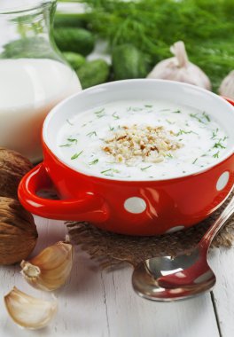 salatalık, yoğurt ve ceviz ile yaz çorbası