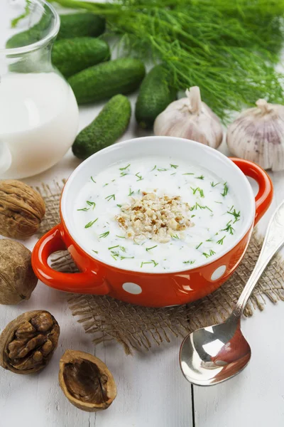 Zuppa estiva con cetrioli, yogurt e noci — Foto Stock