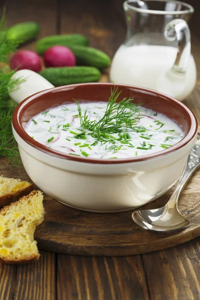 Sopa fría de verano con yogur y verduras —  Fotos de Stock