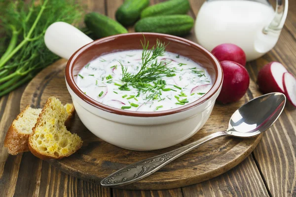 Soğuk Yaz çorbası yoğurt ve sebze ile — Stok fotoğraf