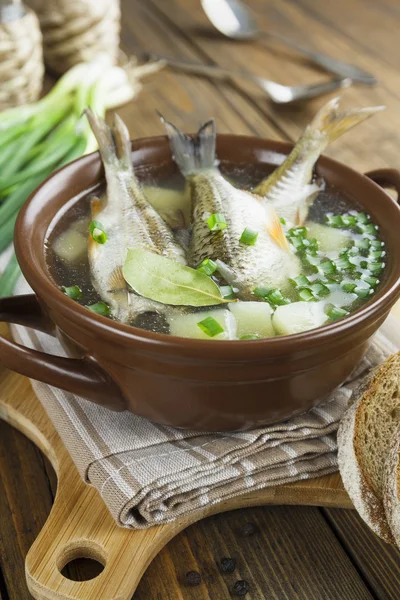 Домашний суп из речной рыбы в аквариуме — стоковое фото