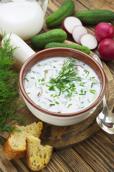 Cold summer soup with yogurt and vegetables Royalty Free Stock Images