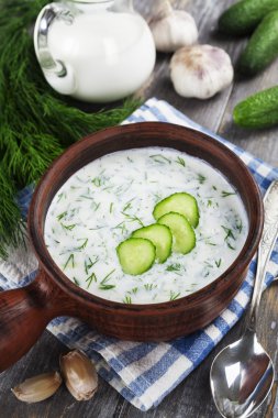 salatalık, yoğurt ve taze otlar ile yaz çorbası
