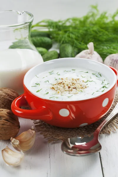 Sopa de verano con pepinos, yogur y nueces —  Fotos de Stock