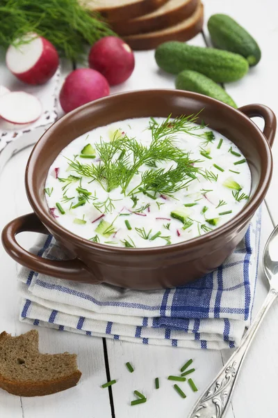 Sopa de verão fria com iogurte e legumes — Fotografia de Stock