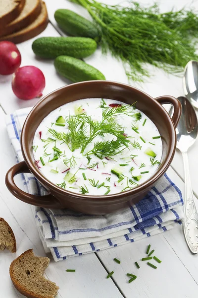 Kall sommar soppa med yoghurt och grönsaker — Stockfoto