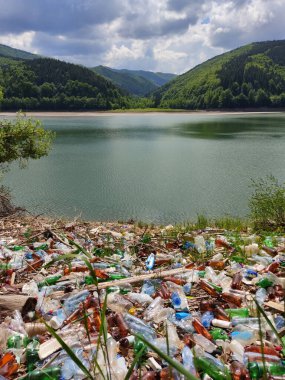 Şiddetli kirlenmiş göl kıyısı. Büyük miktarda plastik, şişe, insan atıkları. Karpatlar 'ın arka planında ekolojik bir felaket var.