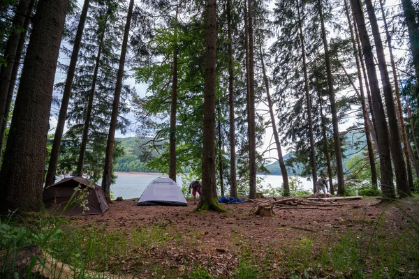 カルパチア山脈の川岸にある松林の間に2つのテントが立っている 観光と休暇の概念 人間がテントを張っている キャンプを手配する — ストック写真