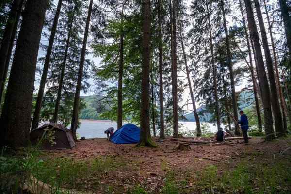 Две Палатки Коричневого Синего Цвета Стоят Между Деревьями Сосновом Лесу — стоковое фото