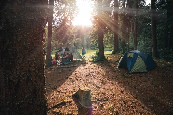 Peoples meets the evening, sunset in the forest. Tourist tent. Camping an reacreation. Beautiful pine forest in mountains. Sunbeams.