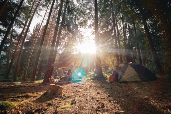 Warm Sun Rays Tourist Camp Tall Pines Smoke Fire Tent — стоковое фото