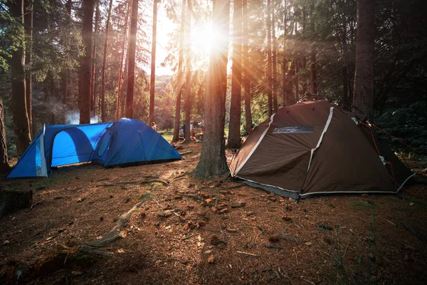 Tent Camp Tall Conifers Warm Beautiful Morning Sunrise Sunset Brown — стоковое фото