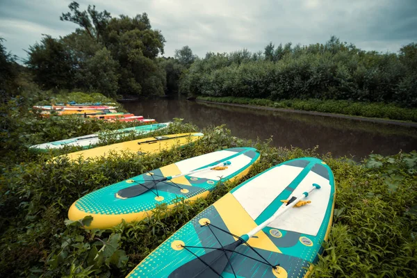 Lot Sup Boards Lie Birch Small River Summer Green Trees — Fotografia de Stock