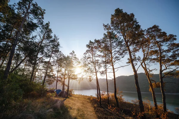 Afstand Zicht Ochtendlandschap Dennenbos Zonnestralen Gloed Riviermeer Bergen Zomer Camping — Stockfoto