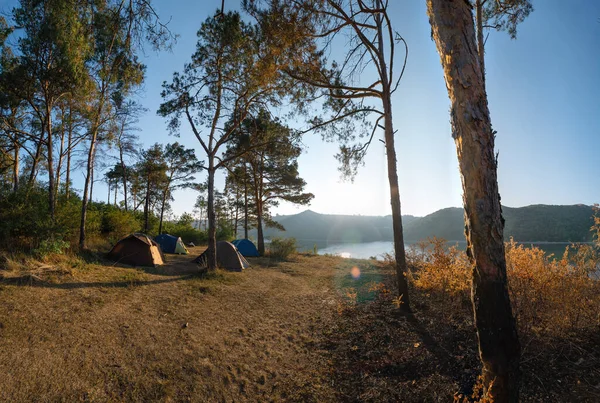 Distanzblick Morgenlandschaft Kiefernwald Sonnenstrahlen Glut Flusssee Berge Sommer Camping Warmen — Stockfoto