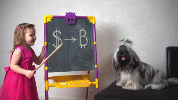 Una ragazza su una lavagna mostra un cane che è necessario investire dollari nella criptovaluta bitcoin — Video Stock