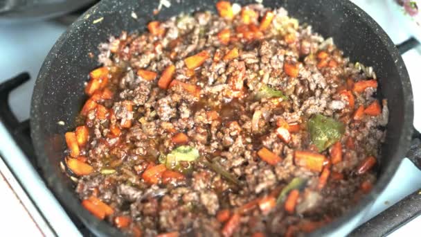 Carne picada com cenouras, cebolas, folha baia e pasta de tomate frita em uma frigideira quente em gordura e óleo — Vídeo de Stock