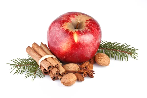Červené jablko s pobočkou jedle izolovaných na bílém pozadí — Stock fotografie