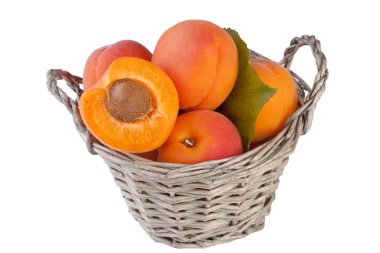 Sepette beyaz zemin üzerine izole kayısı