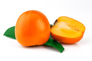 hurma yaprakları beyaz zemin üzerine