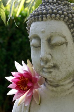 Buda'nın yüzü ile lotus ve bambu yaprakları