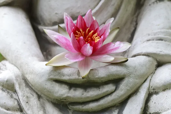 Buddha Hände halten Blume, Nahaufnahme — Stockfoto