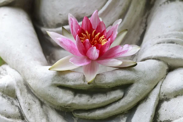 Buddha Hände halten Blume, Nahaufnahme lizenzfreie Stockbilder