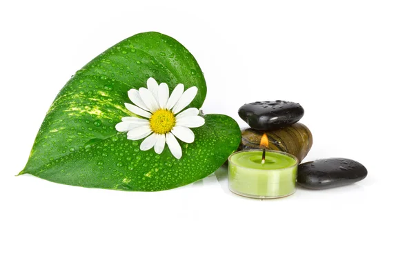 Fiore con foglia verde isolato. concetto di spa — Foto Stock