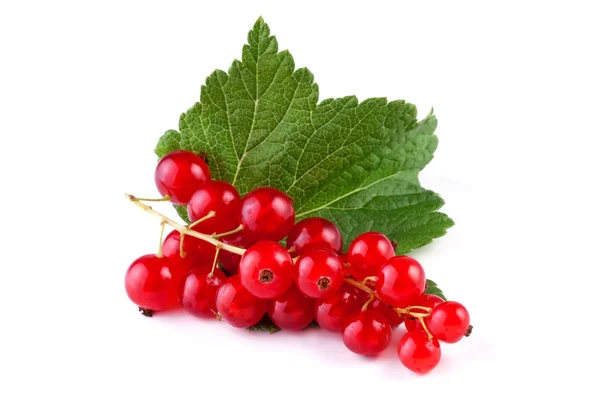 Red currant with leaf isolated on white background — Stock Photo, Image