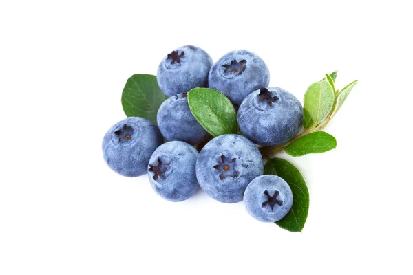 Blueberry met bladeren geïsoleerd op witte achtergrond — Stockfoto