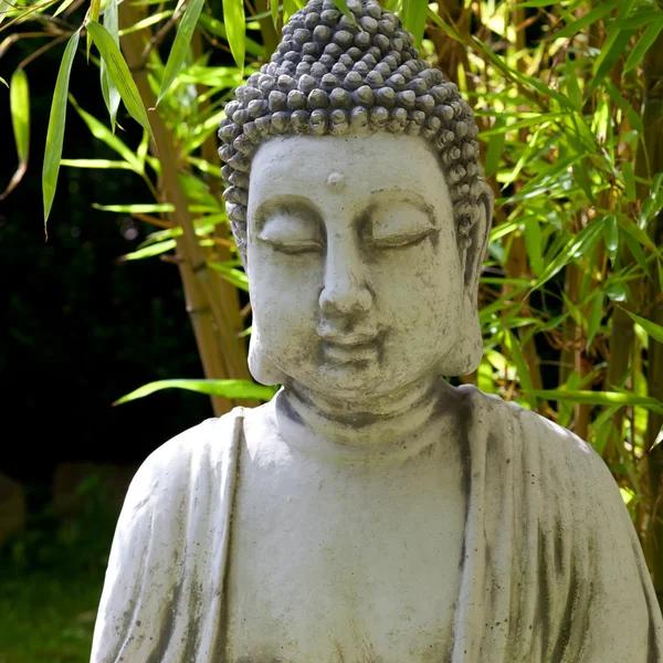 Buddha, a bambusz elhagyja a háttérben, négyzet — Stock Fotó