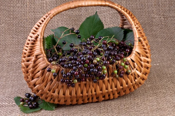 Elderberry in basket on jute background