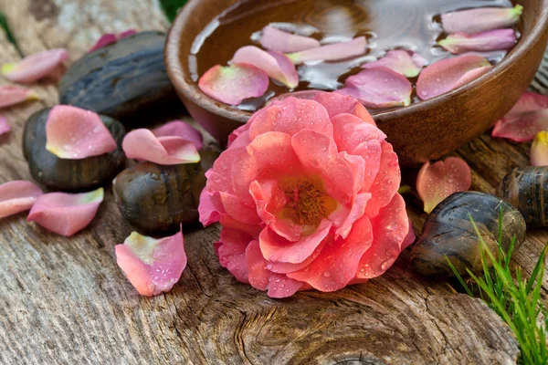 Concetto Spa. fiore rosa con ciottoli zen — Foto Stock