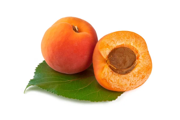 Aprikosen mit Blatt isoliert auf weißem Hintergrund — Stockfoto