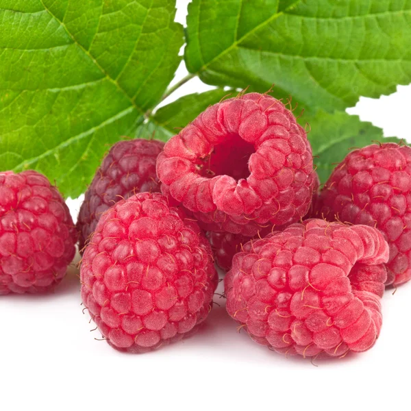Raspberries isolated on white background, square — Stock Photo, Image