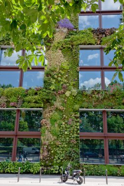 Cephe Musée du quai branly, paris, Fransa