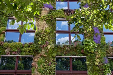 Musée du quai branly Paris'te